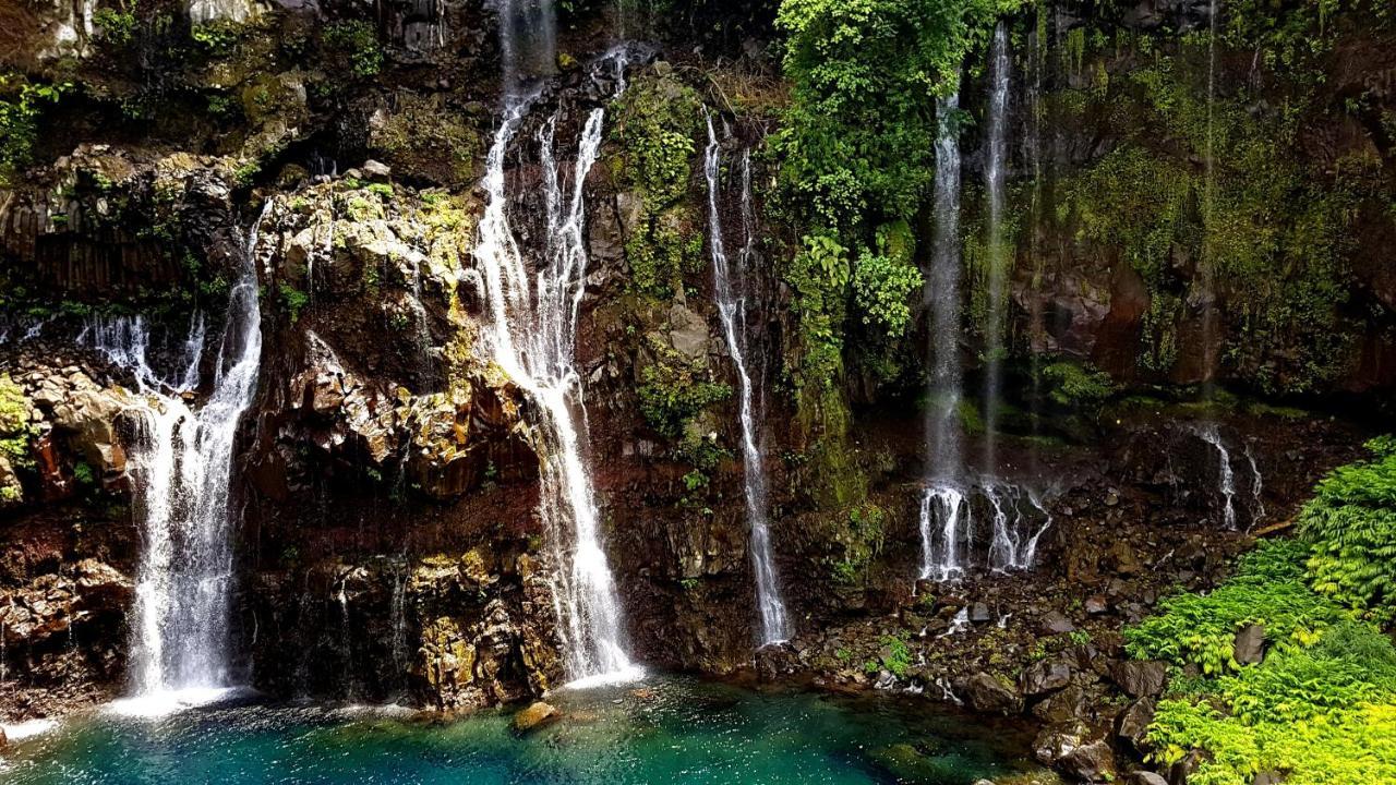 Le Gecko Vert Manapany-les Bains Εξωτερικό φωτογραφία